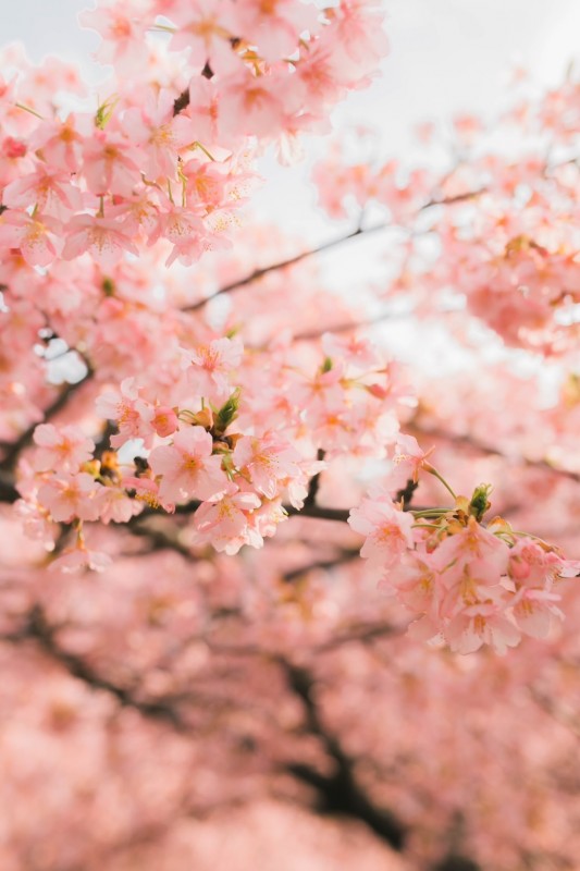 「Best shop」Uta's store